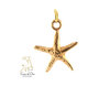 Gold Starfish Charm 14K Yellow