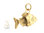 Gold Fish Charm 14K