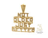"Not Older Just Better" Pendant 14KY
