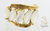 Moonstone Ring 14K Yellow