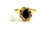 Onyx Ring 14K Yellow