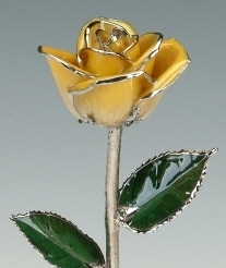 Yellow Rose Platinum