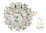 Diamond Cluster Ring 14K White