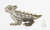 James Avery Sterling Horned Toad Pin