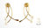 Pearl Earrings 14K Yellow
