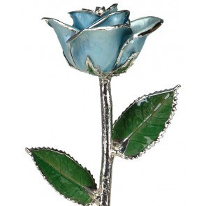 Light Blue Rose Platinum