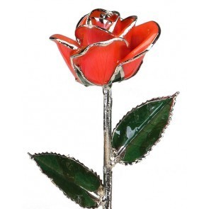 Bright Red Rose Platinum