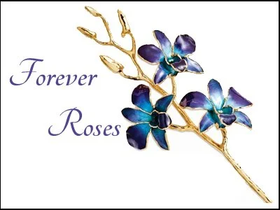 New_Rose_Box